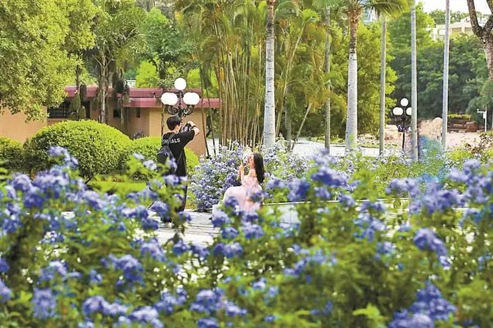 五一假期深圳最全出行攻略！内附22个公园划定帐篷区→休闲区蓝鸢梦想 - Www.slyday.coM