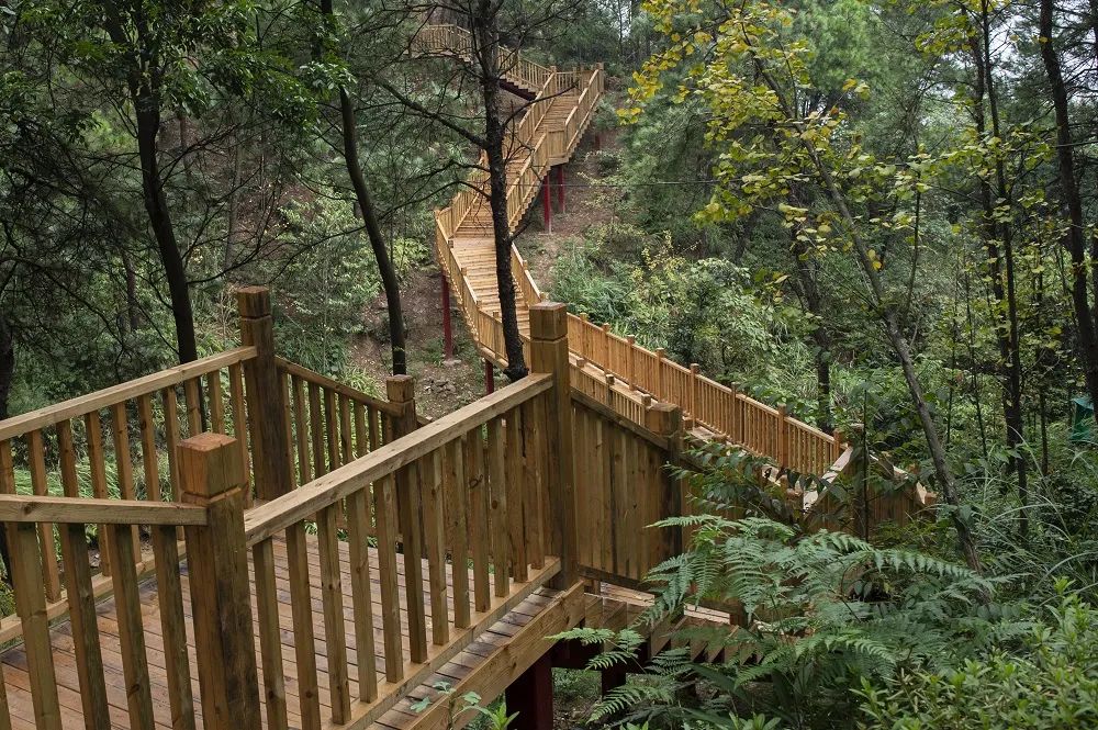 漫步山林步道醉入重庆森林