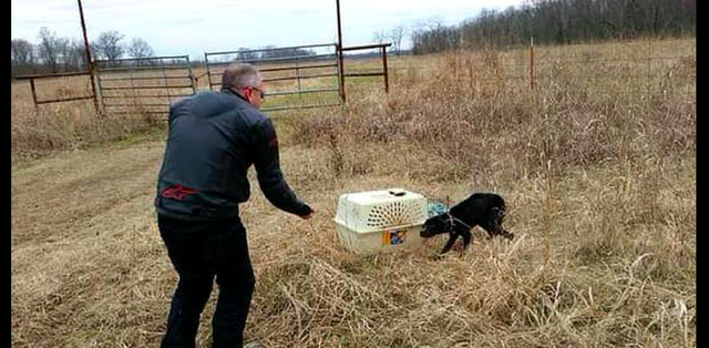大叔不听儿子劝阻，执意带偶遇的流浪狗骑行，如今生活人人羡慕！休闲区蓝鸢梦想 - Www.slyday.coM