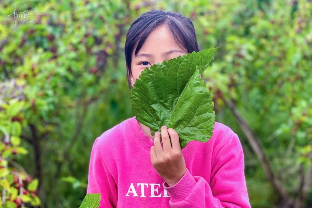 杭州有个神奇的地方，不仅乡村风景宜人，还可以采摘免费的桑葚休闲区蓝鸢梦想 - Www.slyday.coM