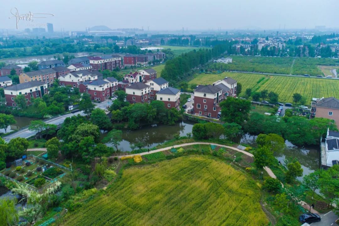 杭州有个神奇的地方，不仅乡村风景宜人，还可以采摘免费的桑葚休闲区蓝鸢梦想 - Www.slyday.coM