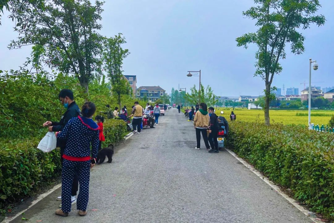 杭州有个神奇的地方，不仅乡村风景宜人，还可以采摘免费的桑葚休闲区蓝鸢梦想 - Www.slyday.coM