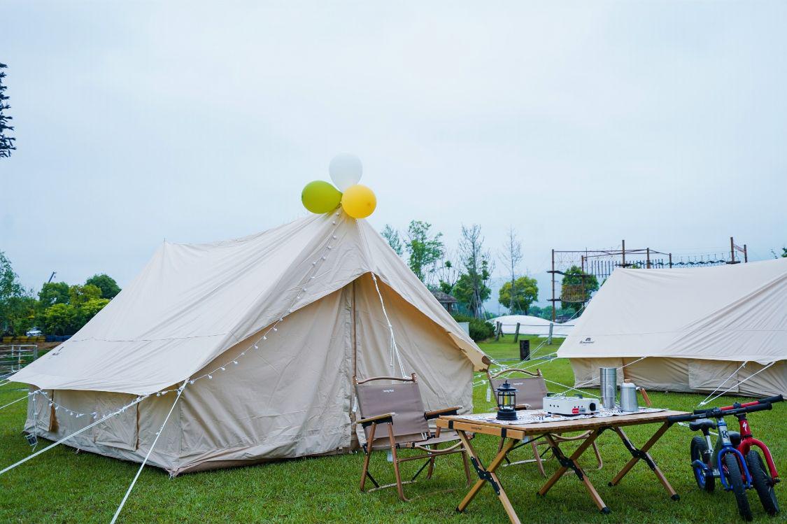 引进专业团队激活露营经济浙江桐庐举办花海星空古村露营