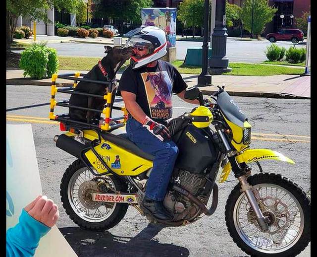 大叔不听儿子劝阻，执意带偶遇的流浪狗骑行，如今生活人人羡慕！休闲区蓝鸢梦想 - Www.slyday.coM