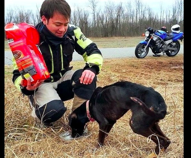 大叔不听儿子劝阻，执意带偶遇的流浪狗骑行，如今生活人人羡慕！休闲区蓝鸢梦想 - Www.slyday.coM