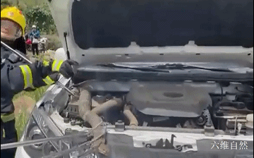 四川一条眼镜王蛇在山沟爬行散步，受到惊吓藏车里，蛇身却被卡住休闲区蓝鸢梦想 - Www.slyday.coM