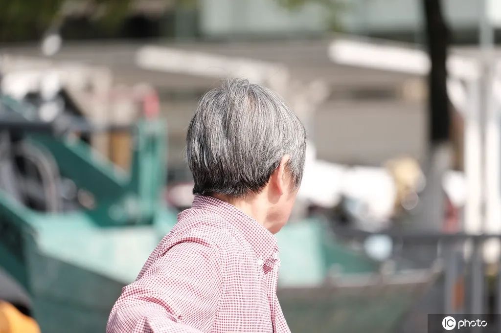 白发突然增多是老了吗？医生提醒：可能是身体缺这4种营养！休闲区蓝鸢梦想 - Www.slyday.coM