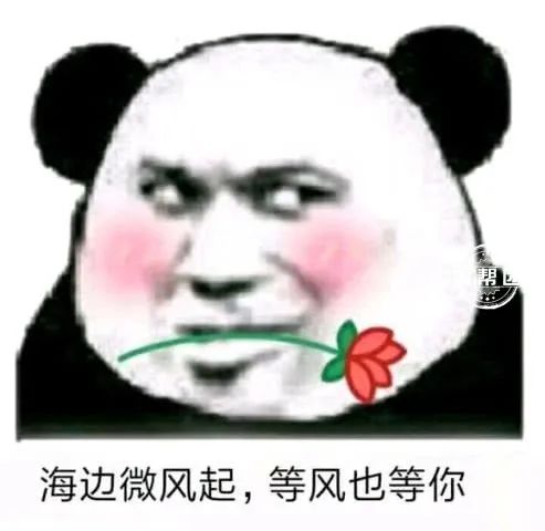 五一假期去哪玩？这份攻略，请查收~休闲区蓝鸢梦想 - Www.slyday.coM