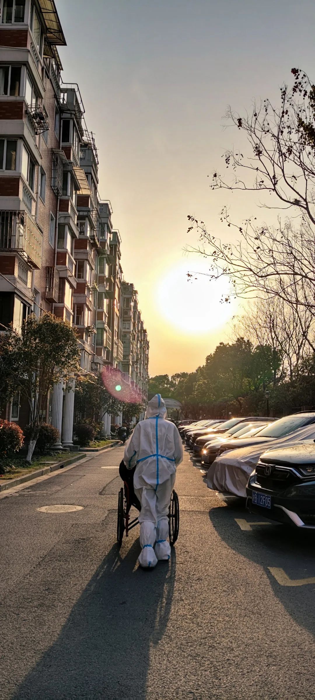 《逆光前行》孙紫闻 图