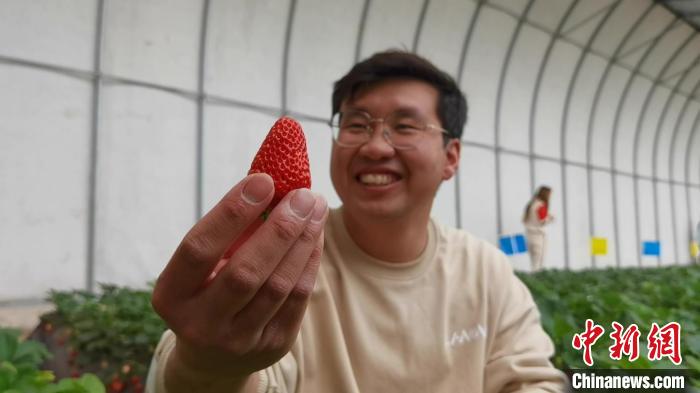 “90后”“草莓叔叔”追当“新农人”：用技术带领乡亲致富休闲区蓝鸢梦想 - Www.slyday.coM