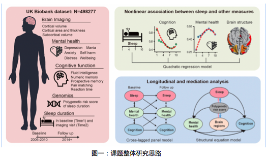 研究发现每天7小时睡眠可促进中老年群体身心健康休闲区蓝鸢梦想 - Www.slyday.coM