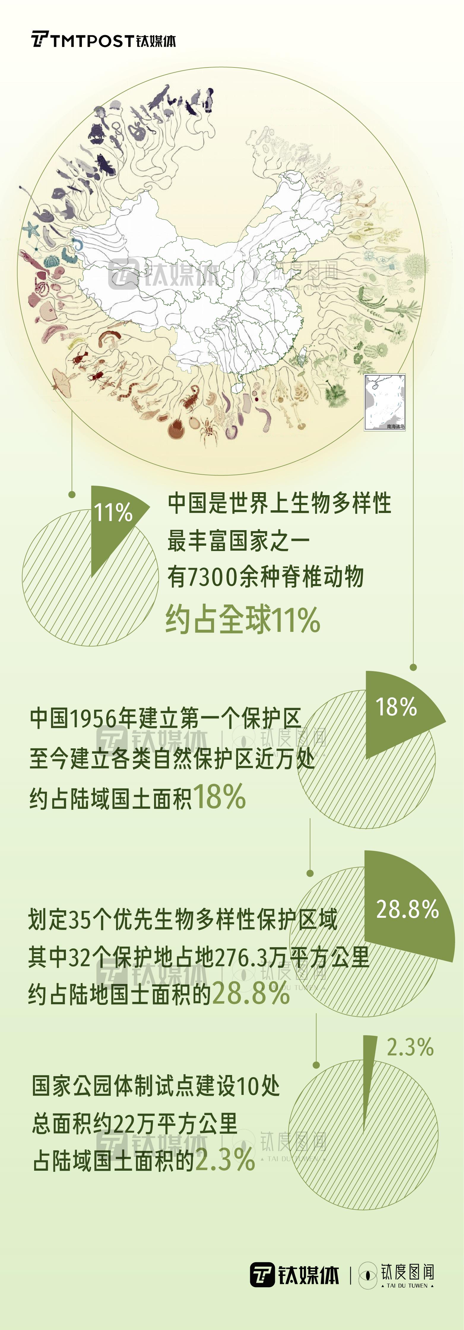 大熊猫藏羚羊不再濒危数读中国生物多样性保护成就钛度图闻