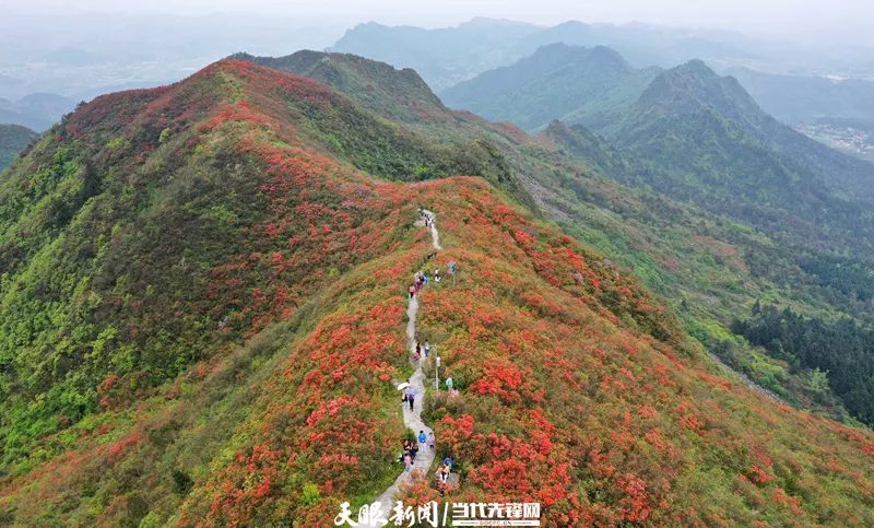 “五一”假期第二天休闲区蓝鸢梦想 - Www.slyday.coM