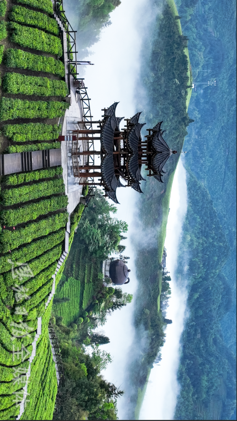 伍家台(姚进摄)