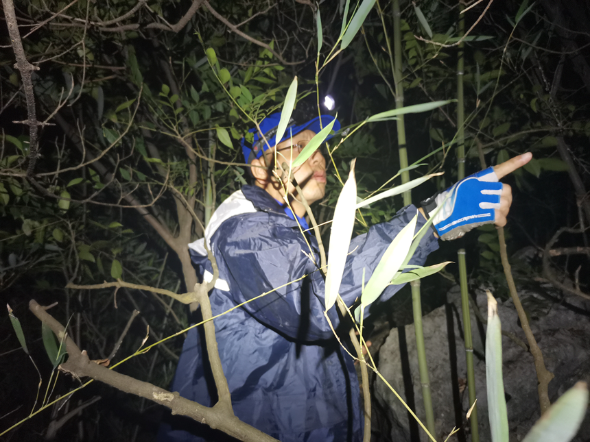 找到了！湖南76岁老人走失5天4夜，家属：吃竹笋树叶维生