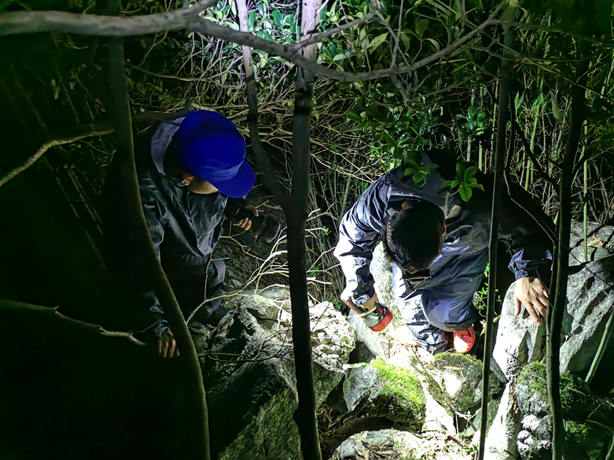 找到了！湖南76岁老人走失5天4夜，家属：吃竹笋树叶维生