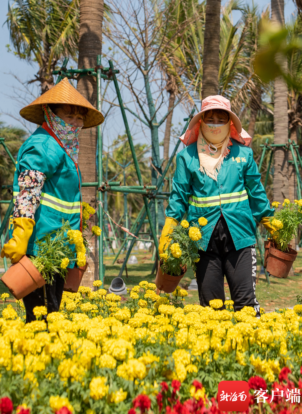 组图丨最美工作照致敬劳动者