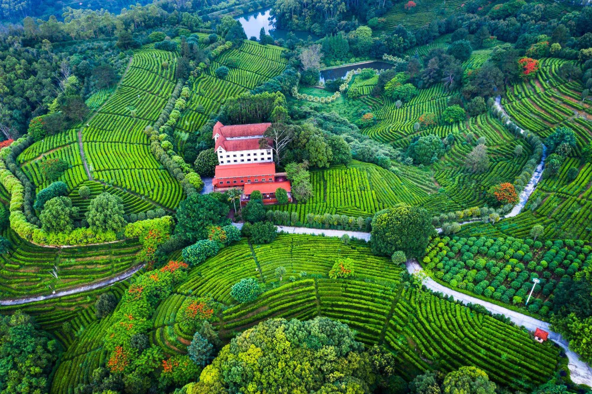 梅州值得去的景区,突出茶文化和客家文化,是休闲度假的好地方__财经头条