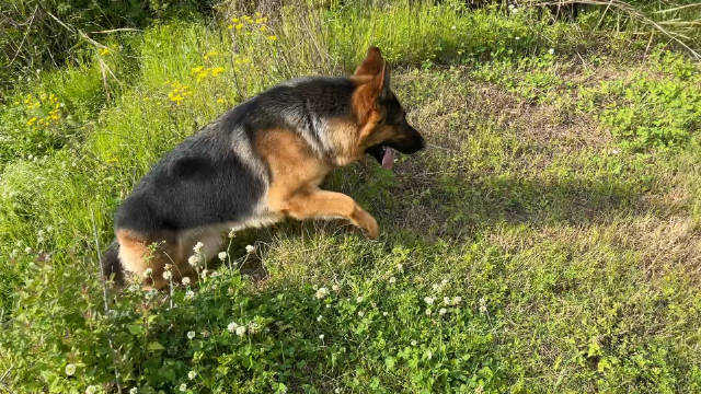 刚接到通知家里停电了据说12个小时之内才会来电