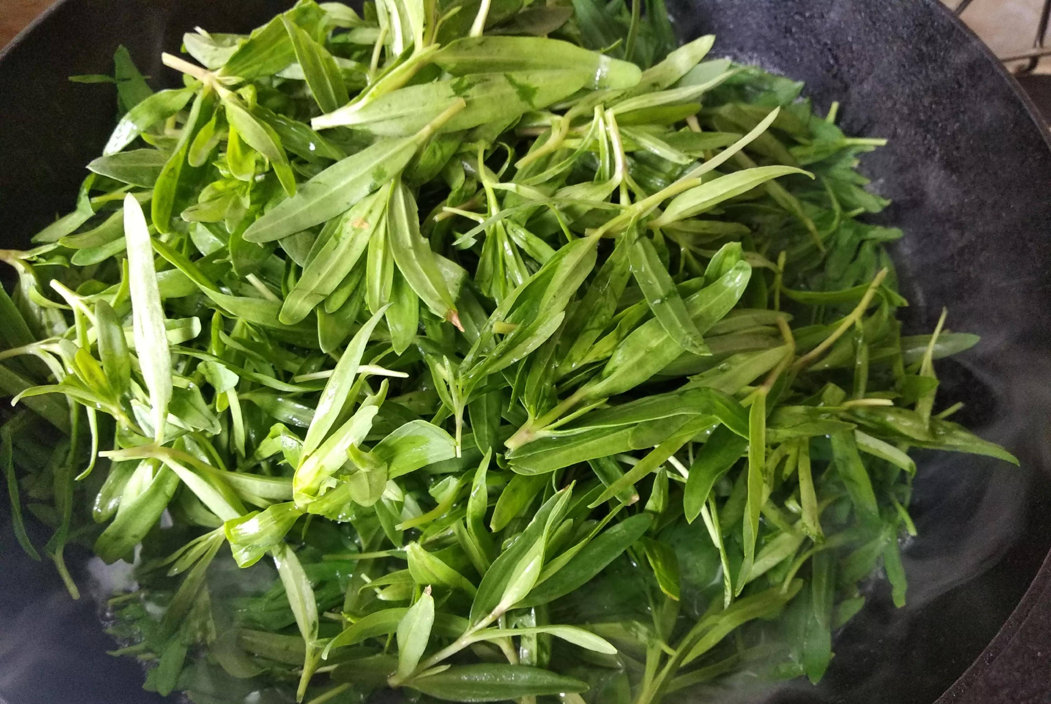 美味的凉拌山苜楂菜