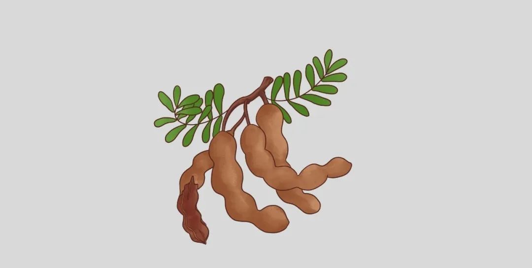 狐臭|密陀僧|性味_新浪新闻