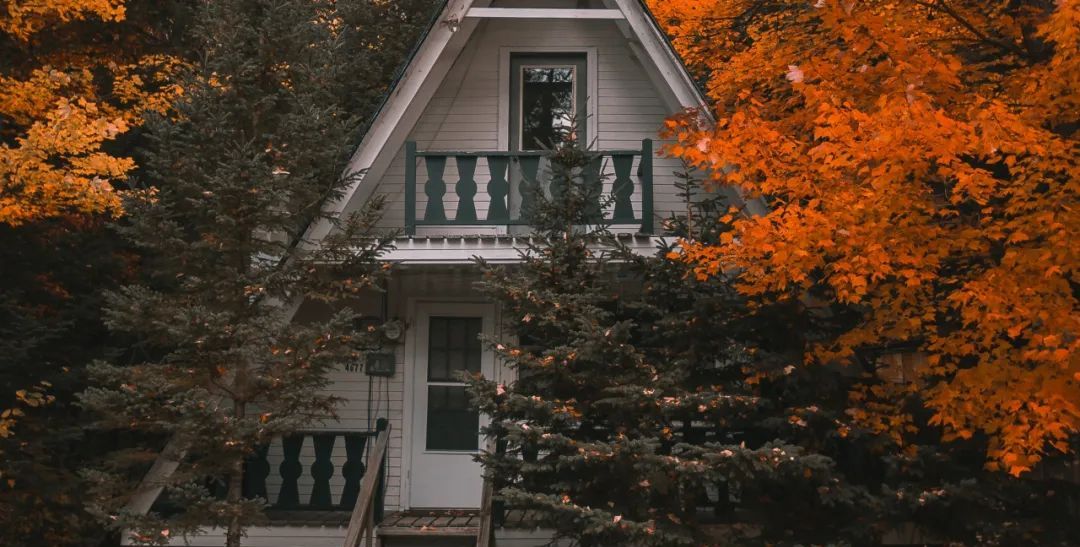 城府深不可测,狡猾指数最高的三个生肖,但慷慨大义,最值得信赖休闲区蓝鸢梦想 - Www.slyday.coM 城府深不可测,狡猾指数最高的三个生肖,但慷慨大义,最值得信赖休闲区蓝鸢梦想 - Www.slyday.coM