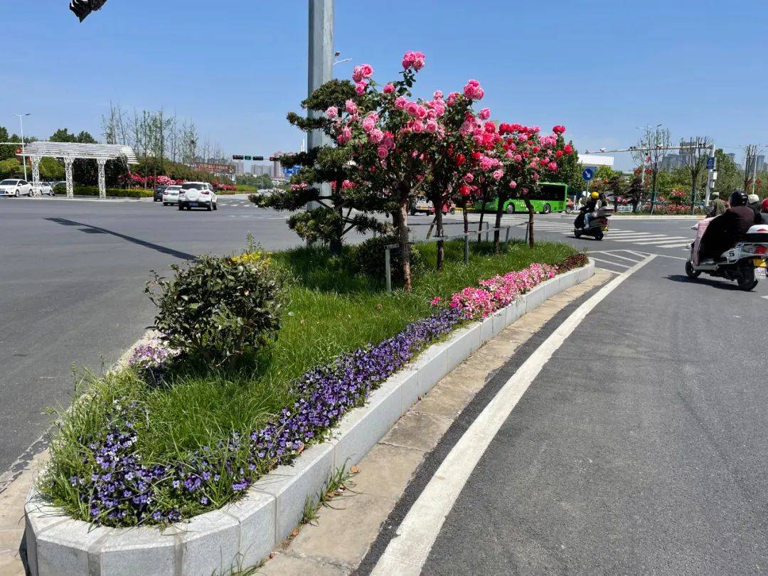 南阳:一个被管理者用心呵护的城市|南阳|用心|导流岛_新浪新闻