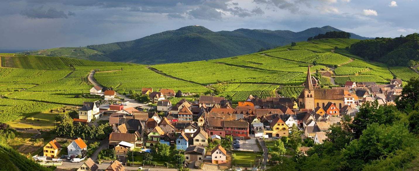 法国阿尔萨斯产区高贵的混合酒格乌兹塔明那葡萄酒简介