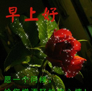 最新漂亮早上好问候祝福动画表情图片早安祝福语大全