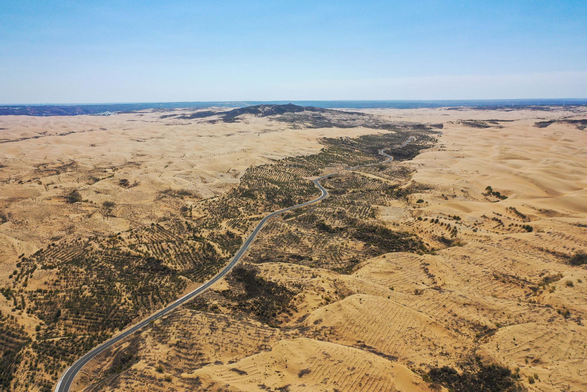 从大都市到沙窝子沙二代返乡记