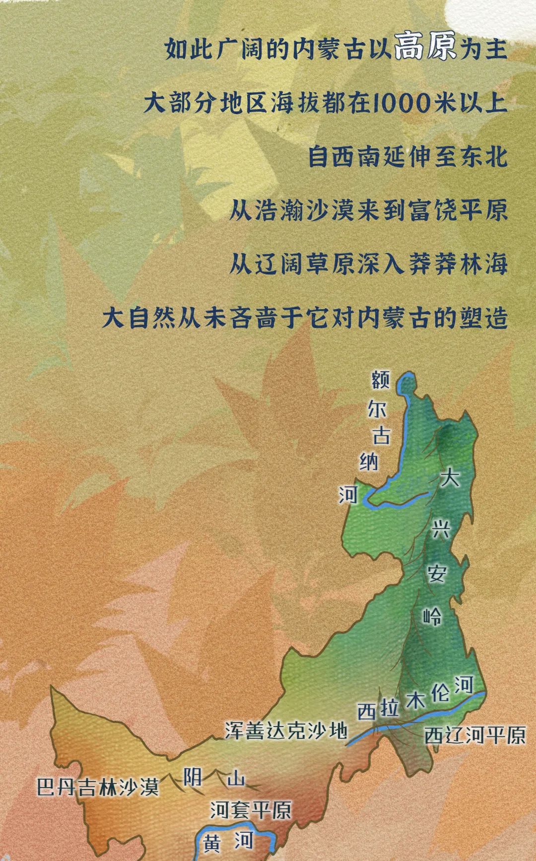 1080_1735竖版 竖屏