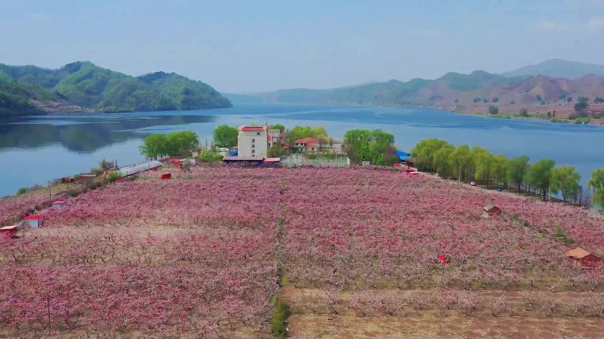 无数次听这首歌,今天第一次听哭.五月初的宽甸河口桃花岛