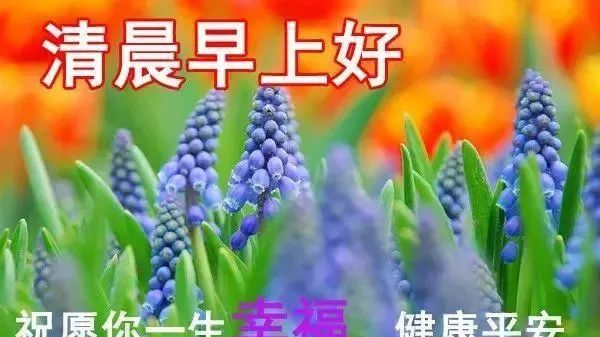 最新漂亮早上好動態圖片帶字最美早上好動態表情圖片