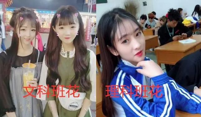文科和理科班花对比图火了形象风格差距明显谁更得你心
