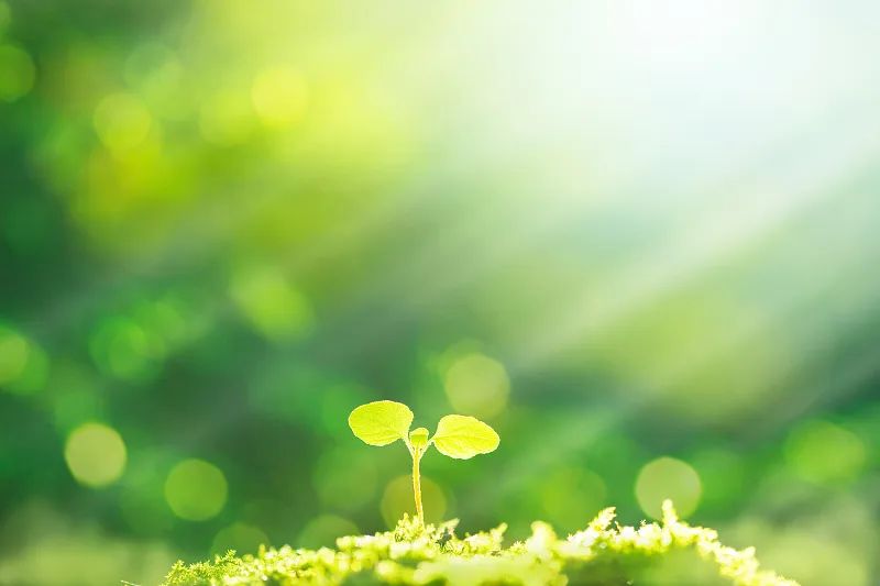 夜读致朝气蓬勃的那群人