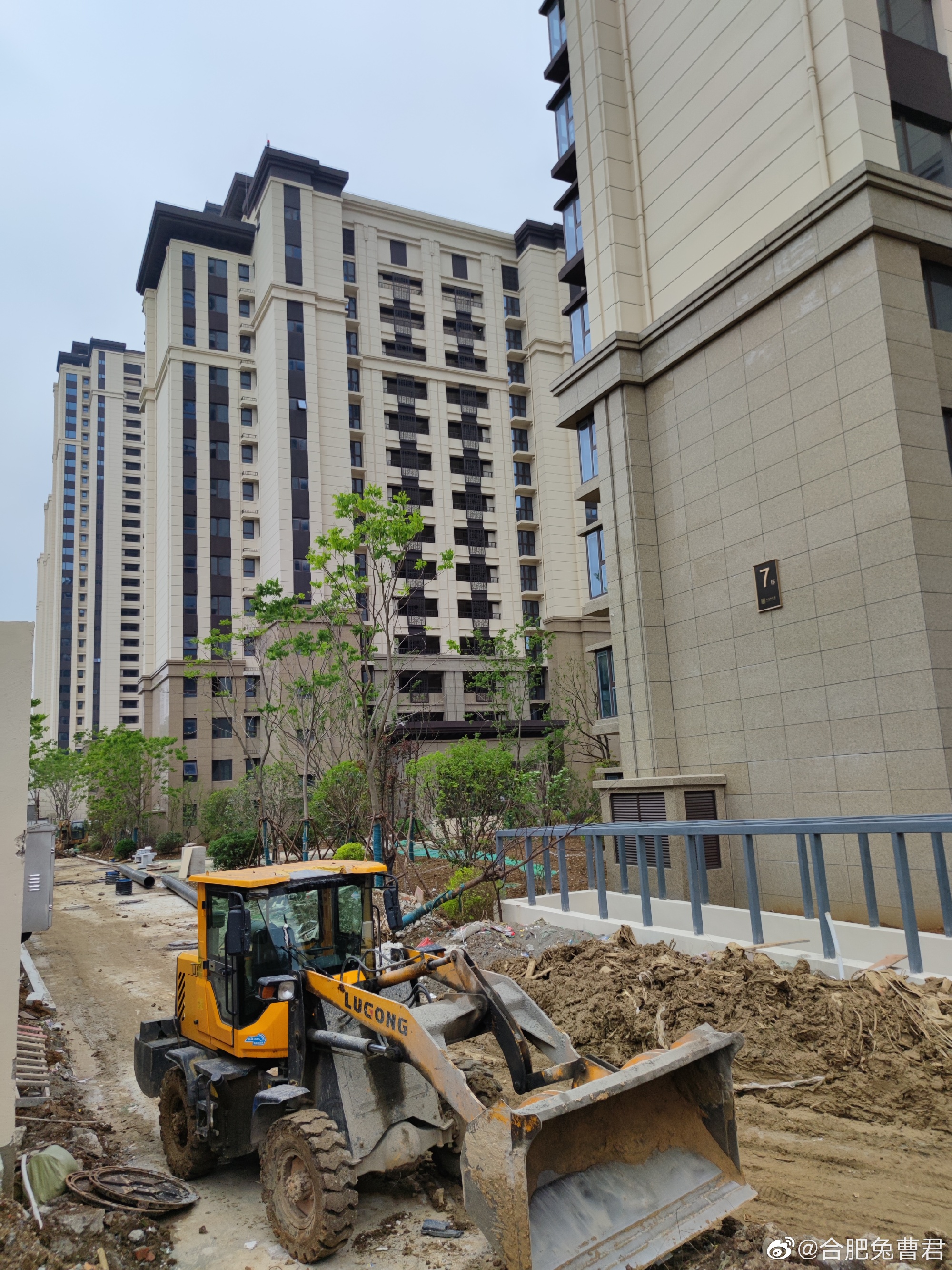 新家蜀山大富鸿学府内部进度曝光正在绿化施工中