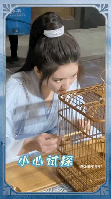 赵露思片场花絮逗鸟新爱好哈哈哈