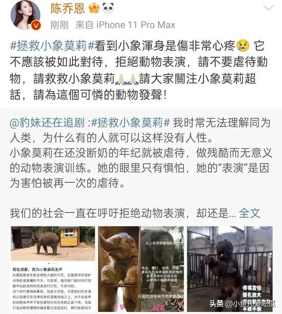 结婚25天后,陈乔恩发文求救:请让小象莫莉回家吧休闲区蓝鸢梦想 - Www.slyday.coM 结婚25天后,陈乔恩发文求救:请让小象莫莉回家吧休闲区蓝鸢梦想 - Www.slyday.coM