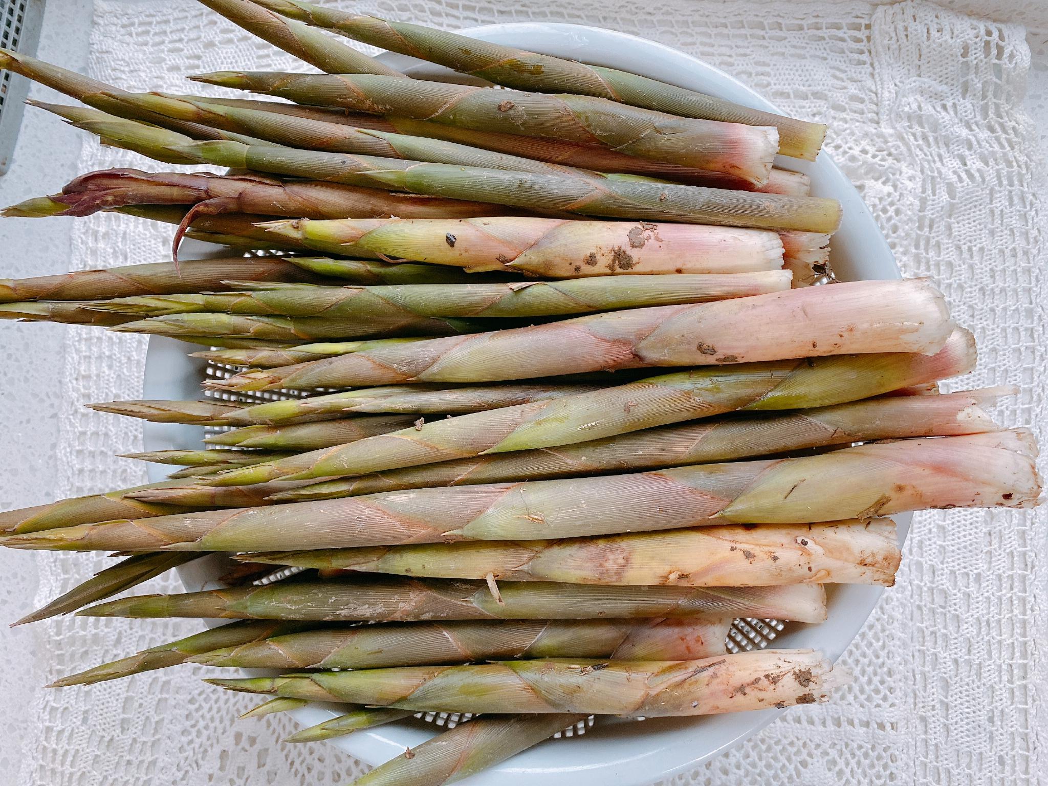 春往夏来只为等这一山小野笋错过等一年鲜嫩脆甜比春笋好吃