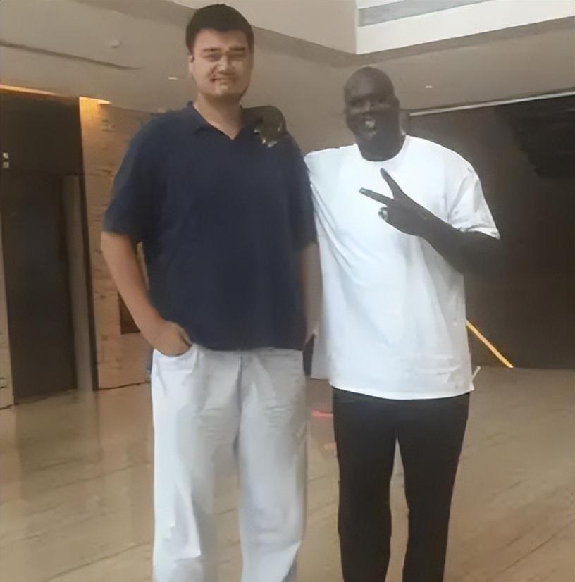 2米26姚明的巨人体型大本在他面前像后卫大腿比普通人腰还粗