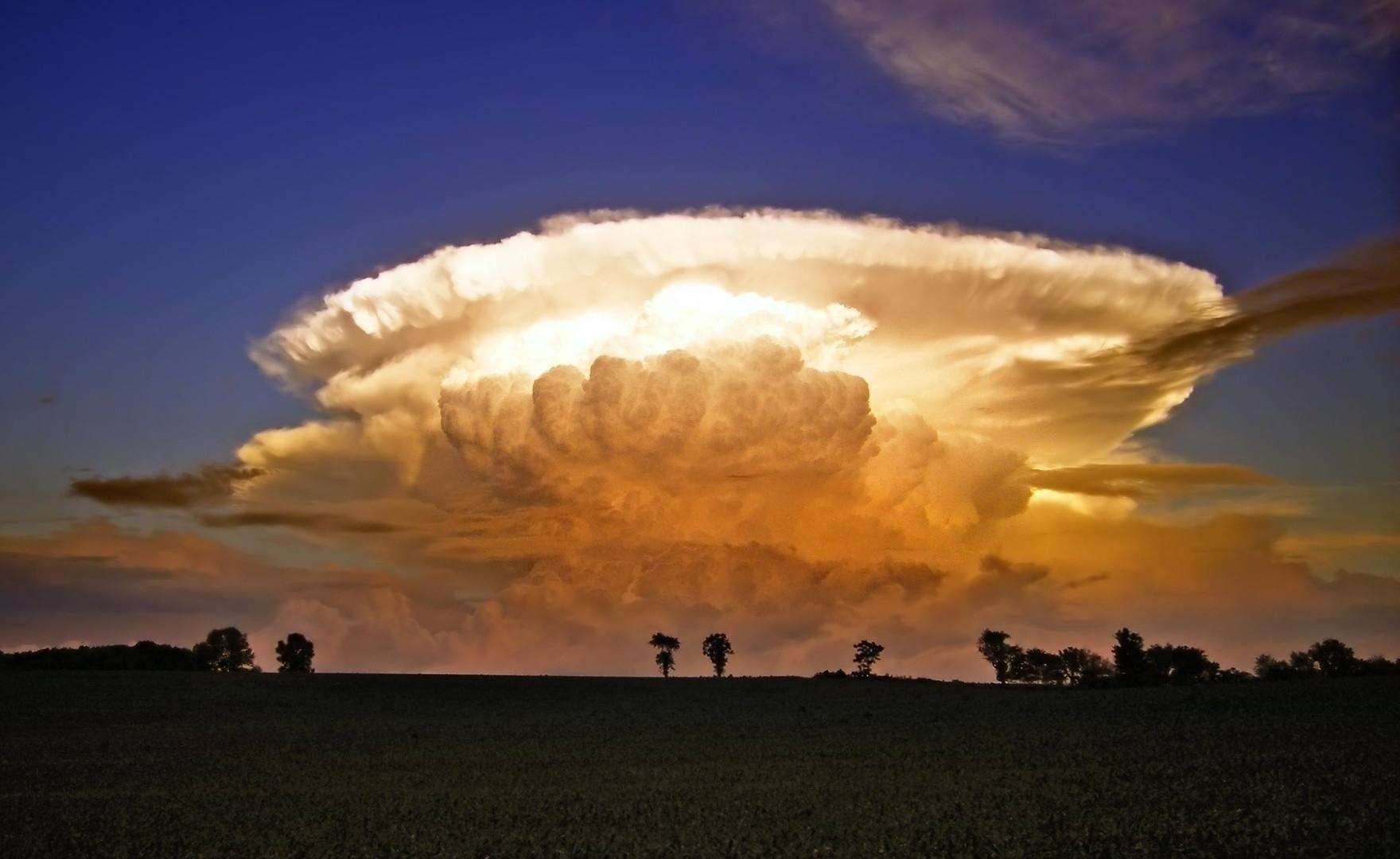 一声巨响8000万棵树应声倒下神秘大爆炸背后的真凶是啥