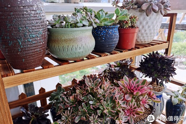 原本以为多此一举，看到污水箱我也不淡定了—万摩尔S22洗地机使用体验休闲区蓝鸢梦想 - Www.slyday.coM