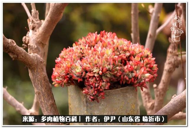 医者仁心 无畏风雨 一路同行 疫情 一路同行 无畏 新浪新闻 医者仁心 无畏风雨 一路同行 疫情 一路同行 无畏 新浪新闻