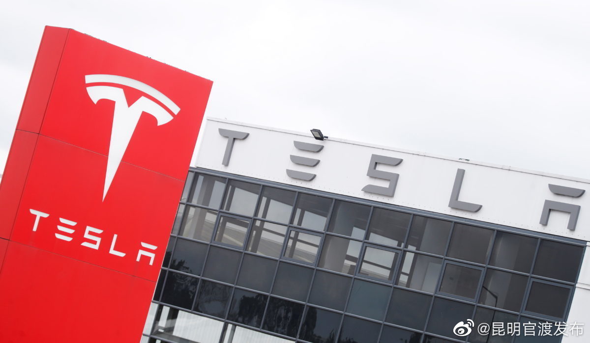 特斯拉确认将在上海建第二工厂休闲区蓝鸢梦想 - Www.slyday.coM