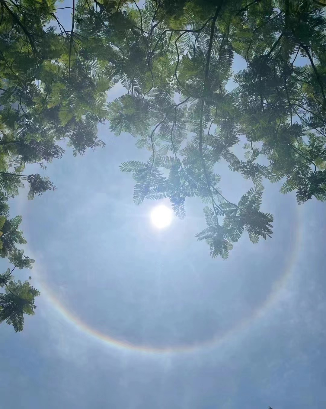 自己当时位于南岸区茶园的单位值班,大约12点过的时候,她突然看到太阳
