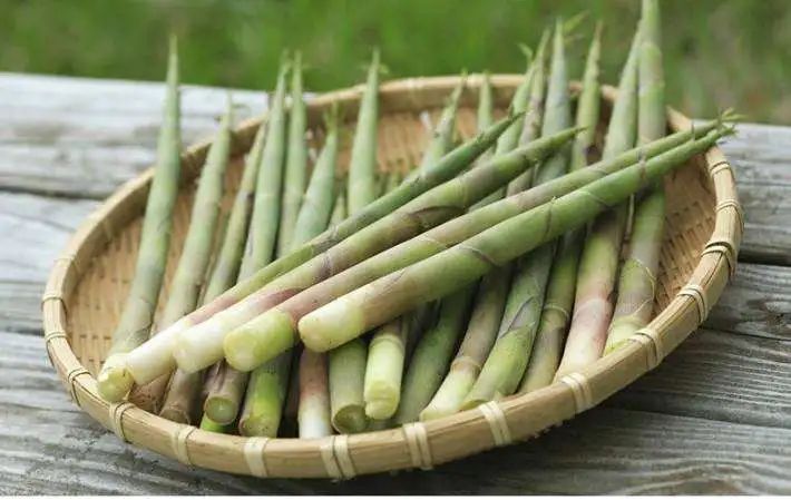 立夏时吃笋则有可健脚之说.