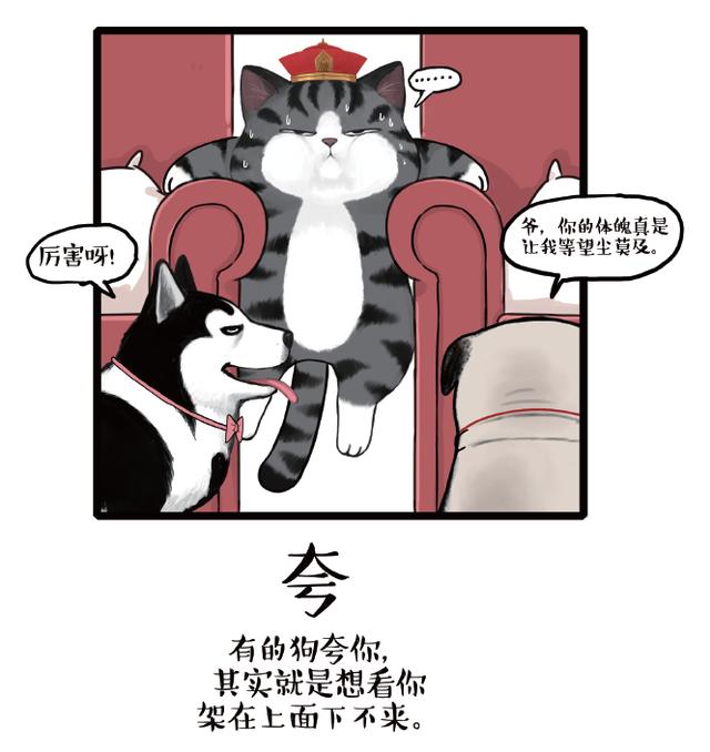 百家青年漫画家白茶和他的吾皇猫外冷内热爱与陪伴