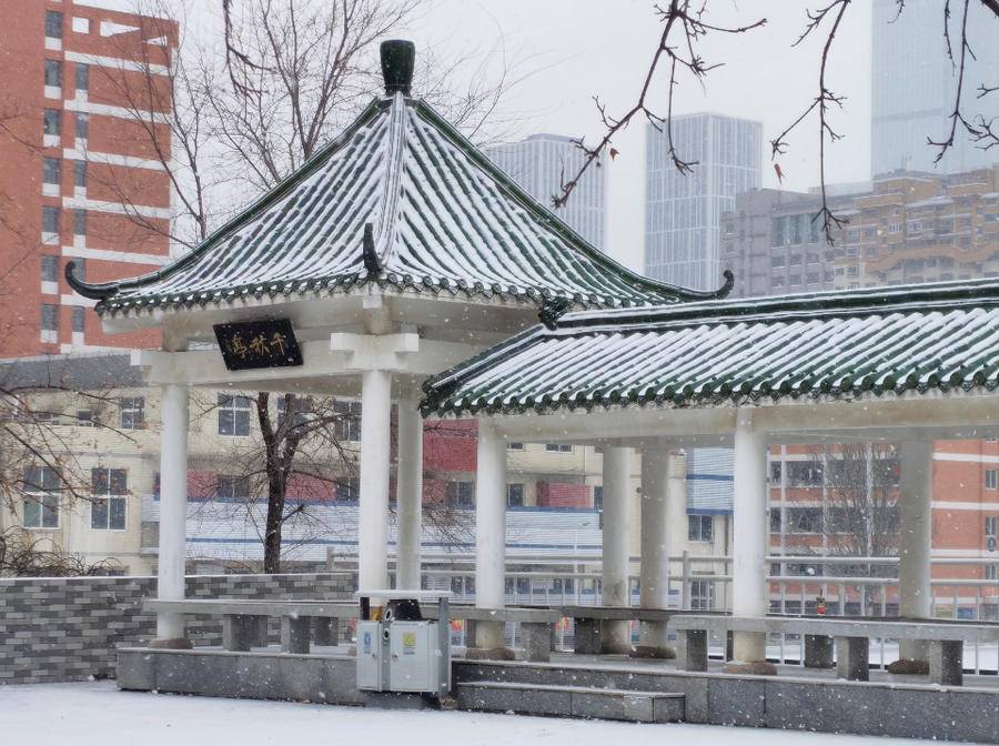 寻找山东最美大学校园山东政法学院查鲁叶文质山政薪火传