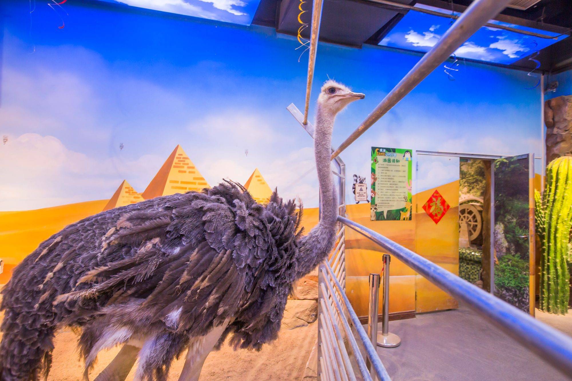 石家庄有个法米动物乐园4000米宛如一片热带森林充满童趣时光