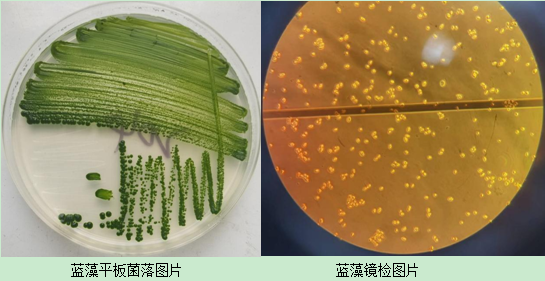 50人大型联合科考队破解世界长寿之乡生态圈微生物密码